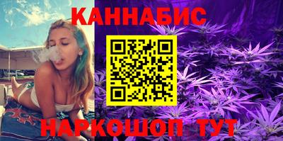 мдпв Гатчина