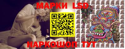 мдпв Гатчина