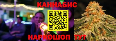 мдпв Гатчина