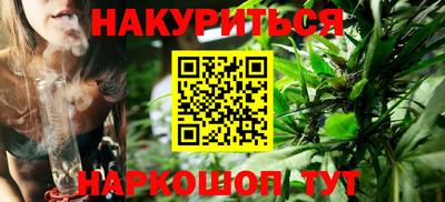 мдпв Гатчина