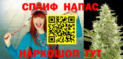 ПСИЛОЦИБИНОВЫЕ ГРИБЫ Гай