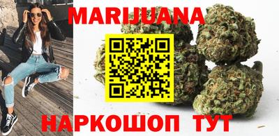 мдпв Гатчина
